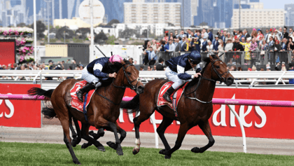 Melbourne Cup 2021 - Wett-Tipps und Prognosen zum G1-Rennen