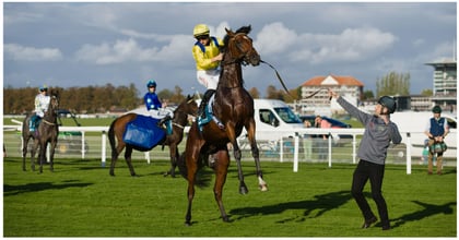 What is Non Runner No Bet? NRNB Meaning Explained