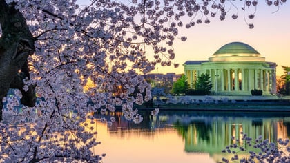 Le Nuove Slot Online di Primavera