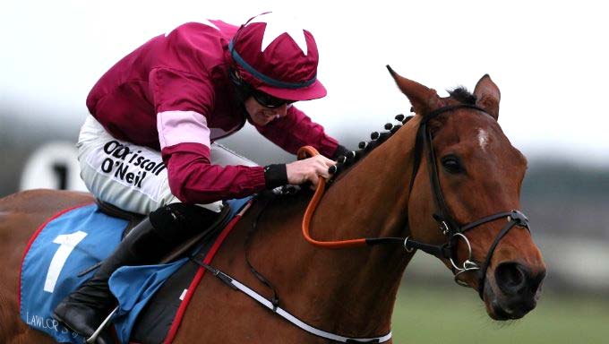 Ippica, strategie per le scommesse