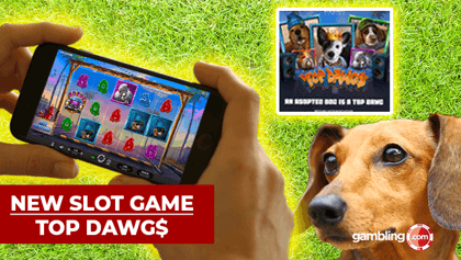 Relax Gaming's Top Dawgs Slot Supports ‘Adopt a Shelter Pet Day’