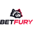 Logo BF W