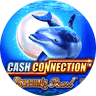  Cash Connection Dolphin's Pearl
