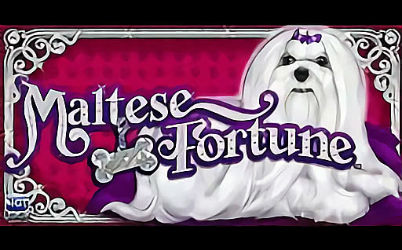 Maltese Fortune Slot