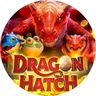 Dragon Hatch