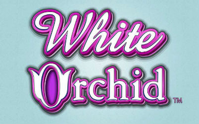 White Orchid Online Slot