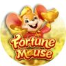Fortune Mouse