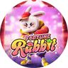Fortune Rabbit
