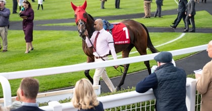 Virgin Bet Cheltenham Gold Cup Offer: Get £20 in Free Bets
