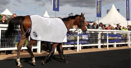 William Hill Cheltenham Offer For The Gold Cup: £30 Free Bets &amp; Top Price Guarantee